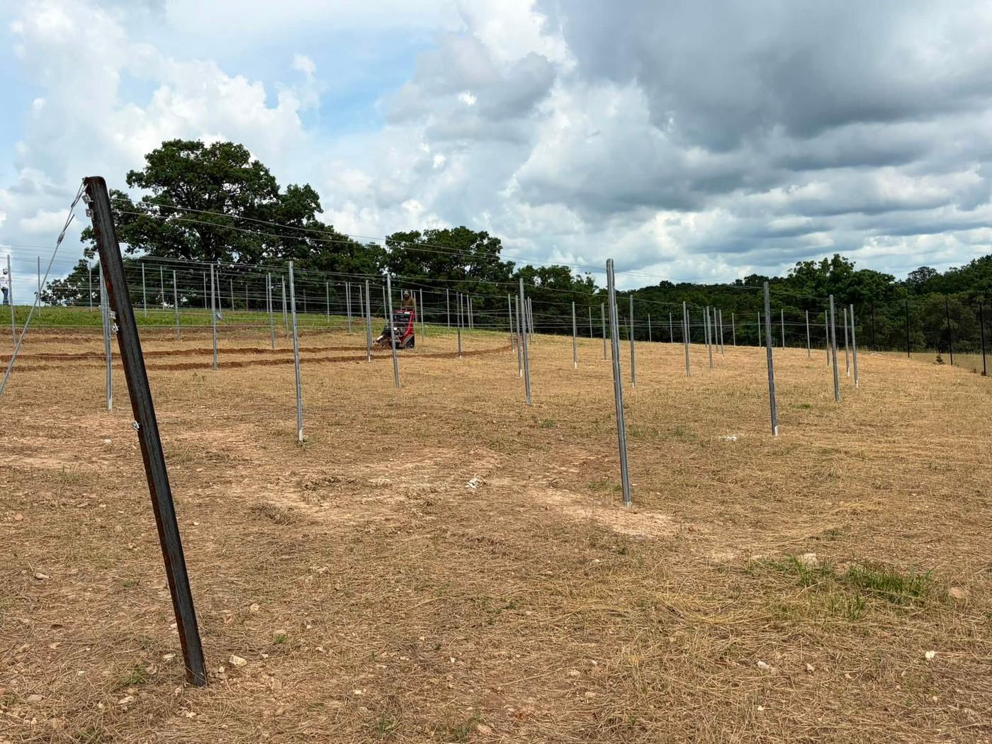 A long fence line under construction across pasture, posts set and wire strung